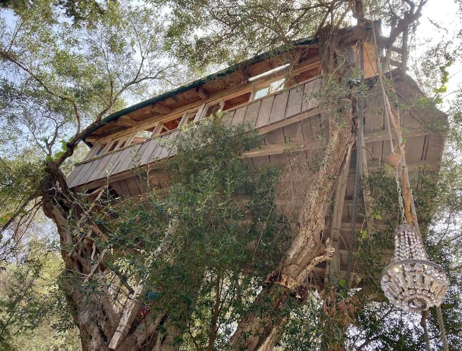 Margaritis'S Treehouse Villa Paramonas  Buitenkant foto
